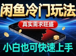 闲鱼冷门玩法,真实需求旺盛,日入100+轻松-宝藏屋创业网