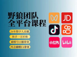 野狼团队2026新版全平台短视频带货教学,打开流量突破口,开始Ai带货(更新26年3月)-宝藏屋创业网