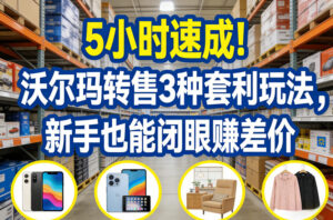 5小时速成!沃尔玛转售3种套利玩法,新手也能闭眼賺差价-宝藏屋创业网