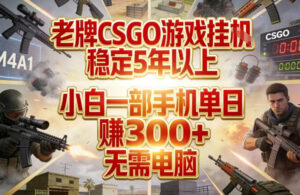 老牌CSGO游戏挂G,稳定5年以上,小白一部手机单日賺3张+,无需电脑【揭秘】-宝藏屋创业网
