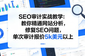 SEO审计实战教学:教你精通网站分析,修复SEO问题,单次审计报价5k美元以上-宝藏屋创业网
