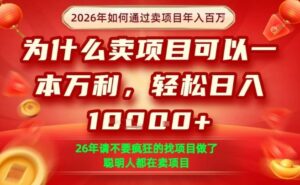 一单净利润1K+,26年想年入100个W,死磕卖项目就够了【揭秘】-宝藏屋创业网