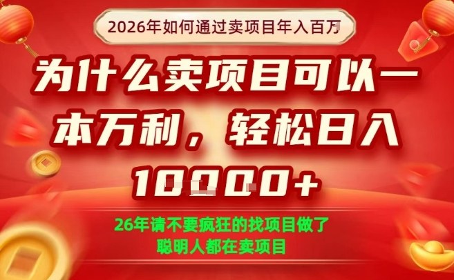 一单净利润1K+，26年想年入100个W，死磕卖项目就够了【揭秘】-宝藏屋创业网
