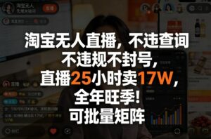 淘宝无人直播，不违规不封号，直播25小时卖17W，全年旺季！可批量矩阵【揭秘】-宝藏屋创业网