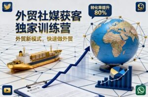 外贸社媒获客独家训练营，外贸新模式，快速做外贸(更新26年3月)-宝藏屋创业网