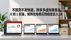 不囤货不发快递，拼多多虚拟类目从 0 到 1 实操，矩阵化布局实现稳定日入 1K-宝藏屋创业网