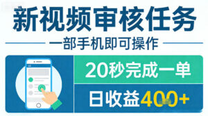 新视频审核任务，一部手机即可操作，20秒完成一单，日收益4张+【揭秘】-宝藏屋创业网