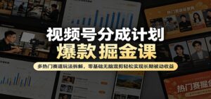 视频号分成计划爆款掘金课：多热门赛道玩法拆解，零基础无脑混剪轻松实现长期被动收益-宝藏屋创业网