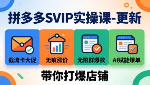 拼多多SVIP实操课-26年4月,截流卡大促+无痕涨价+无限群爆款+AI赋能爆单新玩法,带你打爆店铺-宝藏屋创业网
