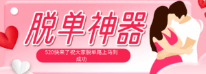 脱单神器：系统理论 + 实景模拟实战相结合，助你脱单路上马到成功。-宝藏屋创业网