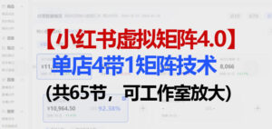小红书虚拟矩阵4.0技术：单店4带1矩阵(共65节，可工作室放大)-宝藏屋创业网