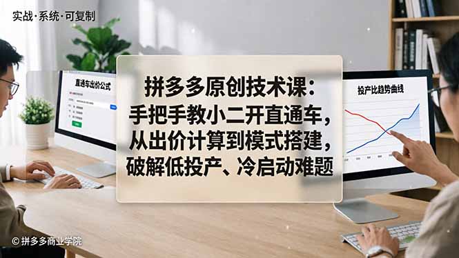 拼多多原创技术课：手把手教小二开直通车，从出价计算到模式搭建，破解低投产、冷启动难题-宝藏屋创业网