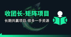 【团长合作】视频矩阵项目_招发手矩阵+剪辑师，共赢项目【揭秘】-宝藏屋创业网