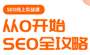 若凡老师·谷歌SEO实操课(更新)-宝藏屋创业网