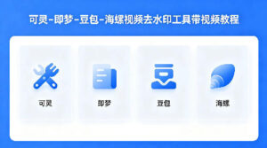 可灵–即梦–豆包–海螺视频去水印工具带视频教程-宝藏屋创业网