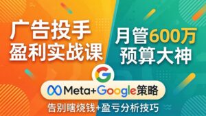 广告投手盈利实战课:月管600万预算大神,带你告别瞎烧钱,Meta+Google策略+盈亏分析-宝藏屋创业网