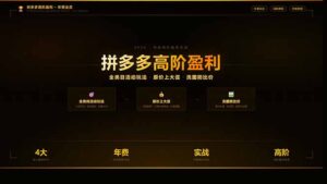 拼多多高阶盈利年费会员(更新3月31-宝藏屋创业网