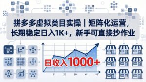 拼多多虚拟类目实操｜矩阵化运营，长期稳定日入 1K+，新手可直接抄作业-宝藏屋创业网
