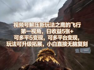 视频号解压新玩法之鹰的飞行第一视角，日收益5张+，可多平台变现，玩法可升级拓展，小白直接无脑复刻-宝藏屋创业网