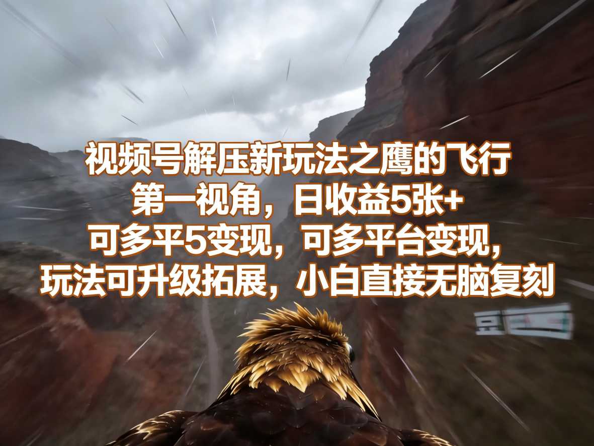 视频号解压新玩法之鹰的飞行第一视角，日收益5张+，可多平台变现，玩法可升级拓展，小白直接无脑复刻-宝藏屋创业网