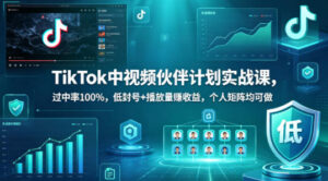 TikTok中视频伙伴计划实战课，过中率100%，低封号+播放量賺收益，个人矩阵均可做-宝藏屋创业网
