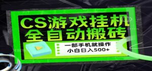 CSGO游戏挂机捡漏搬砖，超稳定的项目，带领1000+小白实现日入500+-宝藏屋创业网