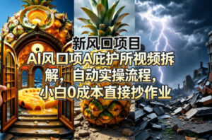 新风口项目AI庇护所视频拆解，自动实操流程，小白0成本直接抄作业-宝藏屋创业网