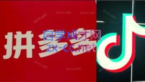 老陶电商·拼多多+抖音小店无货源开店(更新4月)-宝藏屋创业网