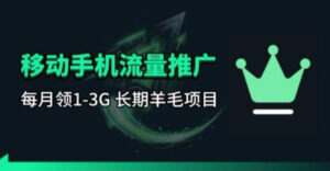 手机流量领取推广_每月一轮，刚需类的长期项目-宝藏屋创业网