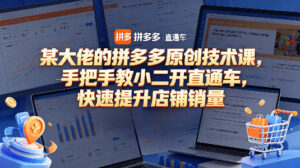 某大佬的拼多多原创技术课，手把手教小二开直通车，快速提升店铺销量-宝藏屋创业网