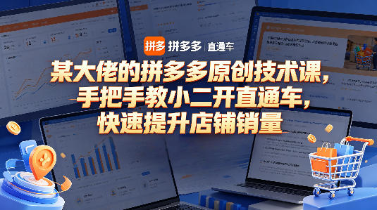 某大佬的拼多多原创技术课，手把手教小二开直通车，快速提升店铺销量-宝藏屋创业网