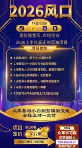 TK-capcut-剪映国际版【社群免费橡目】-官方陪跑-宝藏屋创业网