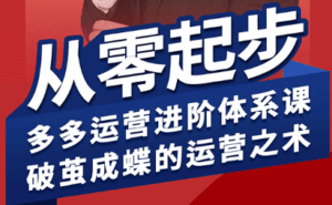 海神·拼多多运营进阶系统课(更新2026)-宝藏屋创业网