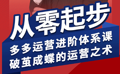 海神·拼多多运营进阶系统课(更新2026)-宝藏屋创业网