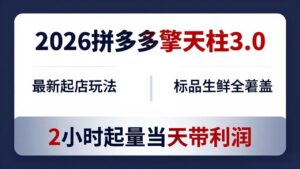 2026拼多多擎天柱 3.0-更新4月20：最新起店玩法，标品生鲜全覆盖，2小时起量当天带利润-宝藏屋创业网