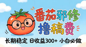 番茄撸金术:日入300+稳如泰山!独家玩法曝光,操作门槛极低,无需经验,小白闭眼上车【揭秘】-宝藏屋创业网