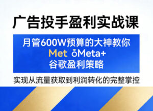 广告投手盈利实战课，月管600W预算的大神教你Meta+谷歌盈利策略，实现从流量获取到利润转化的完整掌控-宝藏屋创业网