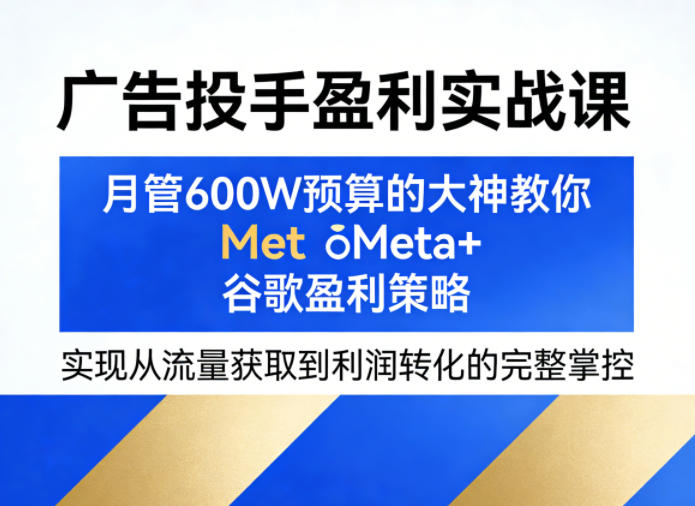 广告投手盈利实战课，月管600W预算的大神教你Meta+谷歌盈利策略，实现从流量获取到利润转化的完整掌控-宝藏屋创业网