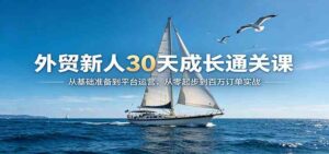 外贸新人30天成长通关课:从基础准备到平台运营,从零起步到百万订单实战-宝藏屋创业网