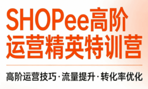 梦凡老师·Shopee虾皮高阶运营课程(更新5月)-宝藏屋创业网