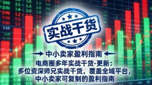 电商圈多年实战干货-更新5月10：多位资深师兄实战干货/覆盖全域平台，中小卖家可复制的盈利指南-宝藏屋创业网