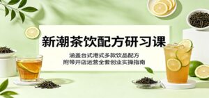 新潮茶饮配方研习课:涵盖台式港式多款饮品配方,附带开店运营全套创业实操指南-宝藏屋创业网