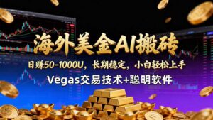 海外美金AI搬砖技术Vegas交易技术+聪明软件【训练营第七期】，日赚50-100U-宝藏屋创业网