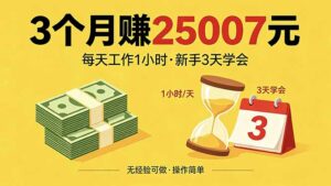 3个月赚钱25007元，每天工作1个小时，新手3天全部学会！-宝藏屋创业网