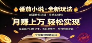 番茄小说5月最新独家玩法，稳定落地实测月入过万！-宝藏屋创业网