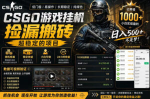 CSGO游戏搬砖，全自动挂G，不需要玩游戏，手机操作日入300+，解放双手【揭秘】-宝藏屋创业网