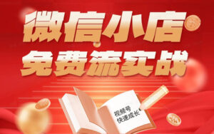 微信小店免费流实战，有货源无货源双模式，从开店到爆单全实操课，小白也能月入1W+-宝藏屋创业网