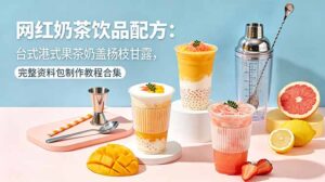 网红奶茶饮品配方：台式港式果茶奶盖杨枝甘露，完整资料包制作教程合集-宝藏屋创业网