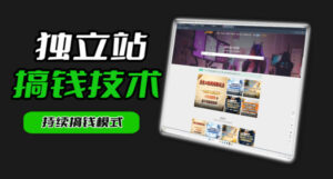 干货来袭!麦子甜带你吃透独立站|从搭建到引流一站式教学《独立站》第一期-宝藏屋创业网