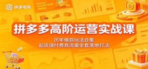 拼多多高阶运营实战课：历年爆款玩法合集，起店强付费救流量全套落地打法-宝藏屋创业网